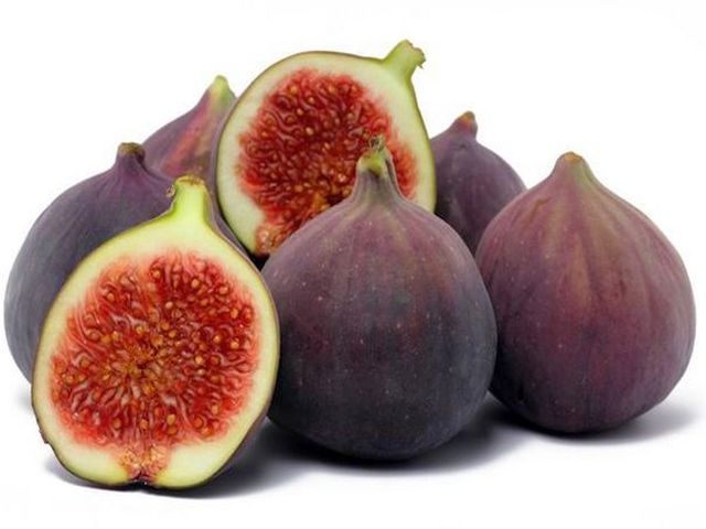 Fig